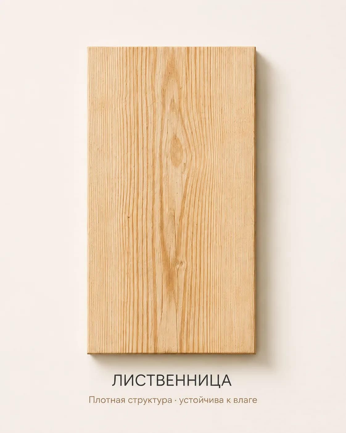 Образец: Лиственница